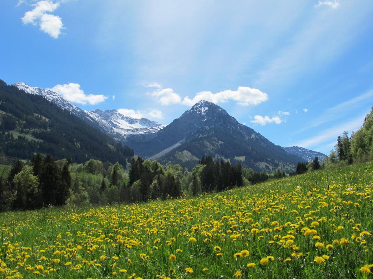 Hornblick Fewo- Ab Mai Freie Fahrt Mit Bergbahnen Oberstdorf Exterior foto